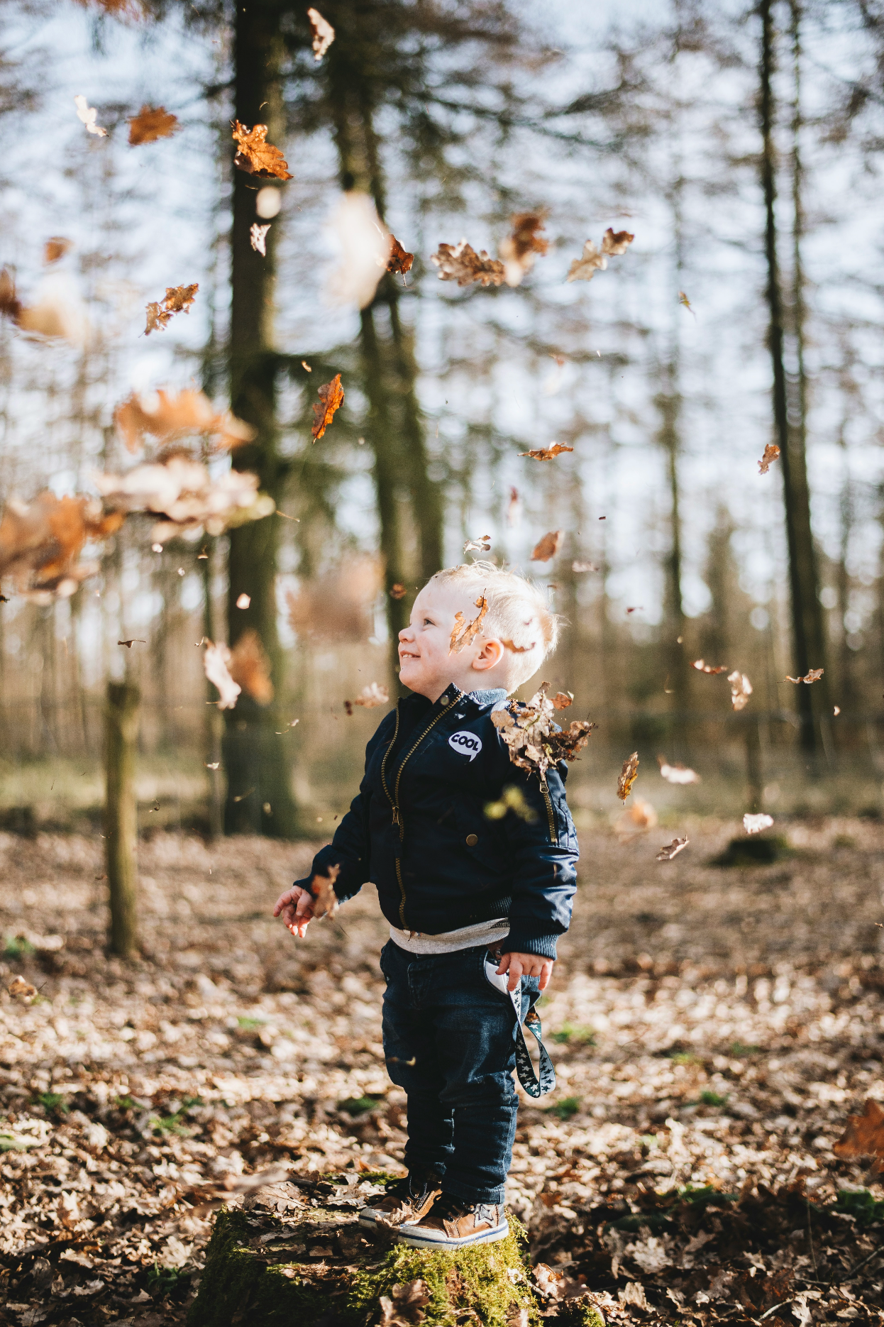 Passeios no outono: seguir o rasto e brincar na natureza